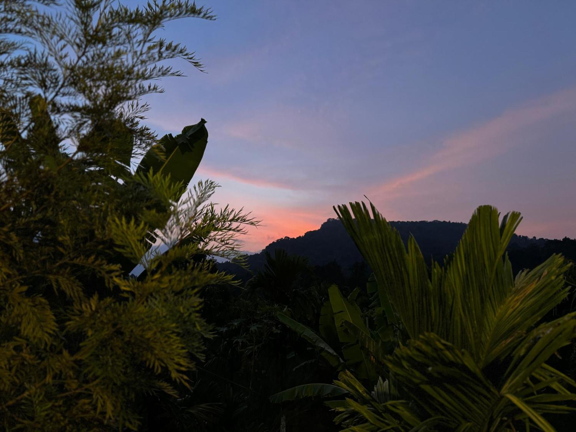 Bendheka - Cliff Front Cottages Coorg Gonikoppal Exterior foto
